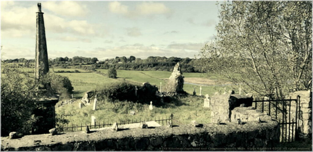 Old Kilcolman churchyard near Claremorris in county Mayo, where many of our Burke ancestors lie buried. Photograph copyright to Alison Kilpatrick.