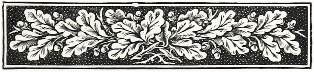 Woodcut illustration of highly stylized oak leaves with a dark background and an inner white and outer black border.