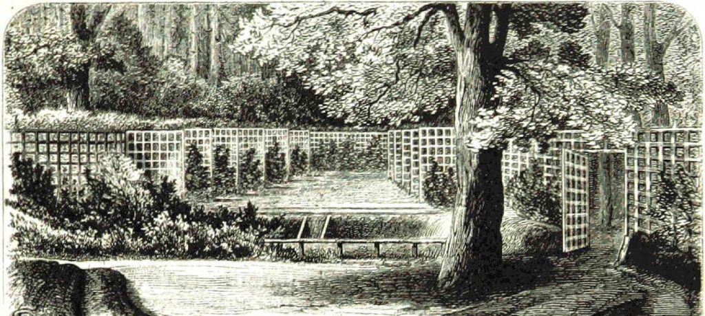 A garden with trellised sections is a visual analogy for private garden rooms to the privacy statement for this website.