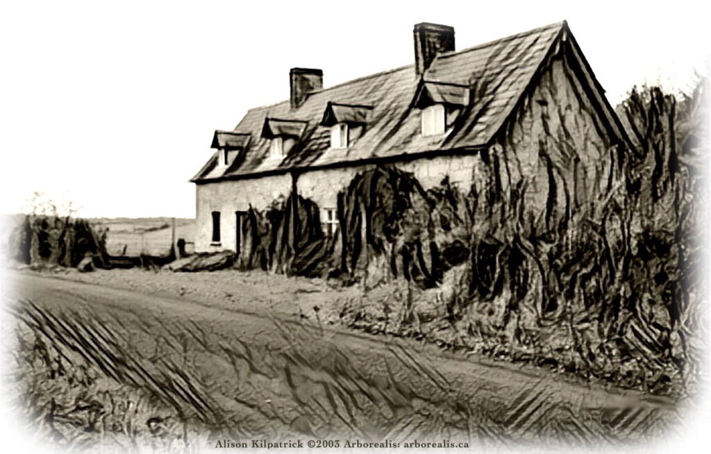 A worker's cottage in Derrykintone townland in the parish of Aghaloo and county of Tyrone, to illustrate the Family and Local History Studies home page.