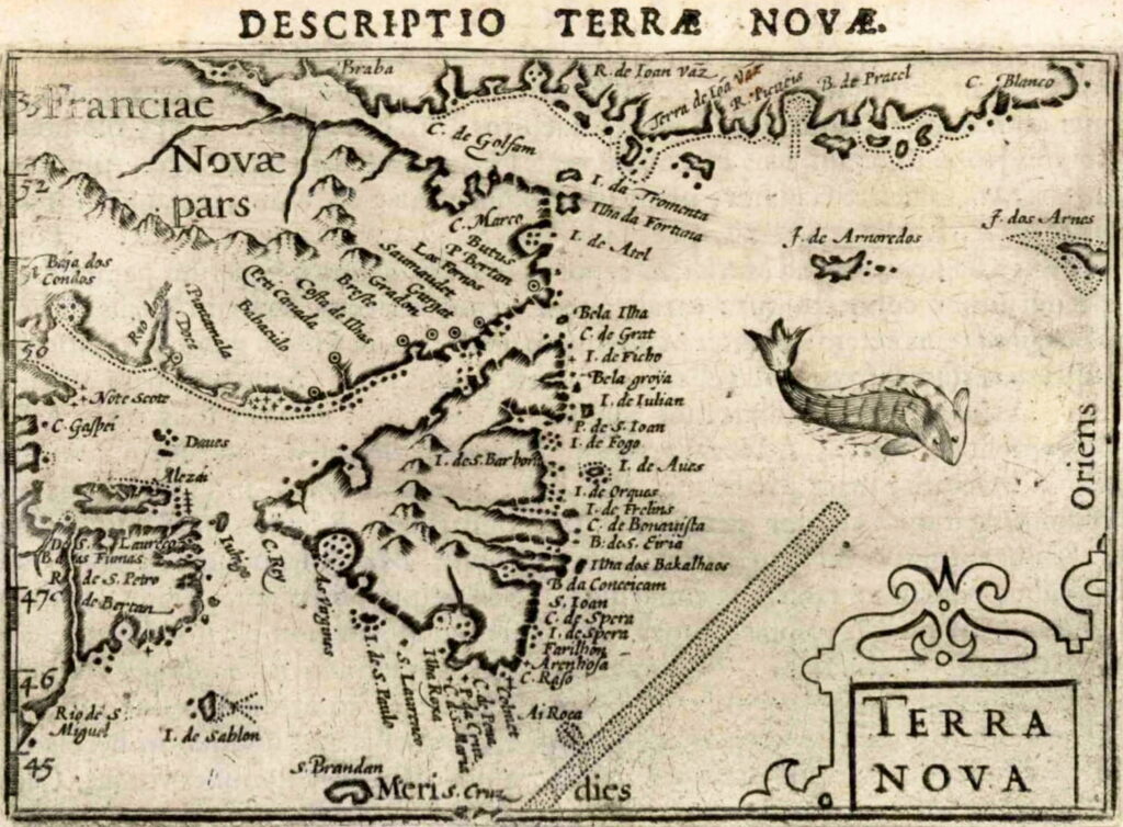 Map of Newfoundland, then called Terræ Novæ, drawn by Petrus Bertius in 1602.